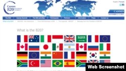 二十国集团工商峰会（B20）网页截图
