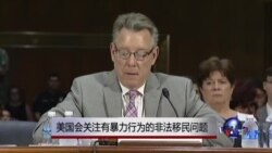 美国会关注有暴力行为的非法移民问题