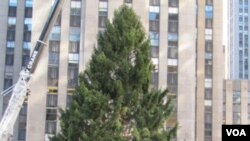 Turis dan warga New York memadati Rockefeller Center untuk melihat pendirian pohon Natal 2010.