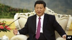 Chinese Vice President Xi Jinping meets with Egypt's President Mohammed Morsi, unseen, at the Great Hall of the People in Beijing Wednesday, Aug. 29, 2012.