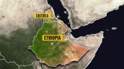 ወደ ቀዬአቸው የተመለሱ ተፈናቃዮች በቂ የአፈር ማዳበሪያ እንዳልቀረበላቸው ገለጹ