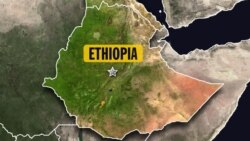 ከሶማሌ ክልል የመንግሥት ኮምዩኒኬሽንስ ጉዳዮች ቢሮ ኃላፊ አቶ እድሪስ እስማኤል ጋር የተደረገ ቃለ ምልልስ