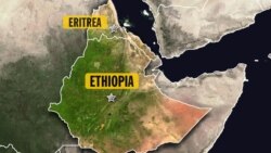 በአፋር ክልል ጀርመናዊውን ቱሪስት የገደሉ ታጣቂዎች ማንነት