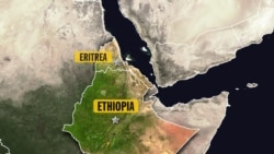 ‘ካብ ኤርትራ ዝተላእኹ ኣሸበርቲ ኣብ ትሕሪ ቁጽጽር የእትየ ክሃድሙ ንዝተፈተኑ’ውን ቀቲለ’ ይብል መንግስቲ ኢትዮጵያ