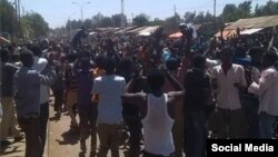 Faayilii - Hiriira Mormii Oromiyaa, 2016