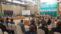 Mootummaan Itiyoophiyaa Tigraay Keessatti Dullii Waraanaa Gaggeesse Seera Qabeessa:Musaa Faakii