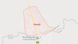 ‘Nami harra Godina Booranaatti Kooronaan Irratti Argame Seeraan ala Daangaa Qaxxaamuree Seene’ Waajjira Eegumsa Fayyaa Aana Mooyyale