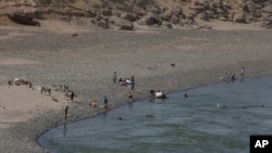 Faayilii - Baqattoota daakaadhaan laga Tekesee cehan, Muddee 15, 2020