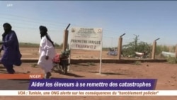 Les touaregs du Niger passent de l’élevage à l’agriculture