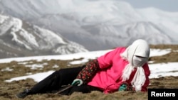 中国青海省西部贵德县拉鸡山当地藏民在寻找冬虫夏草