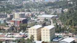 የኮምቦልቻ እፅዋት ክሊኒክ ከ9 ቢሊዮን ብር በላይ የሚያወጡ ንብረቶቹ እንደወደሙበት አስታወቀ