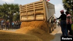 Farmers dump a pile of rice on the ground during a rally, outside a Bank for Agriculture and Agricultural Cooperatives in Bangkok, March 11, 2014.