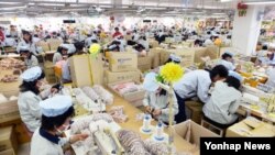 지난해 9월 개성공단에 입주한 한국기업에서 북한 근로자들이 제품을 생산하고 있다.