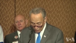 美国枪击案频发 国会仍难推动枪支控制法