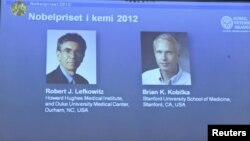 Ilmuwan Amerika, Robert Lefkowitz dan Brian Kobilka (kanan) ditampilkan di layar saat Royal Swedish Academy of Sciences di Stockholm, mengumumkan pemenang nobel Kimia 2012 (10/10). 