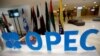 مذاکره اوپک و کشورهای غیرعضو برای تمدید ۹ ماهه توافق کاهش تولید