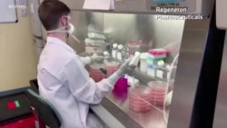 礼来制药暂停抗体药物的试验