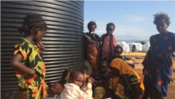 Baqattoonni Oromoo 3700 Ammaa Solooloo jiru