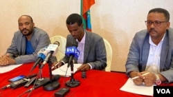 የአማራ ብልጽግና ፓርቲ፣ የአማራ ብሔራዊ ንቅናቄ (አብን) እና የአማራ ዴሞክራሲያዊ ኀይል ንቅናቄ (አዴኃን) መግለጫ