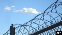 عکس تزئینی است.