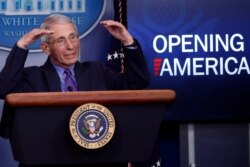 Dr. Anthony Fauci, director of the National Institute of Allergy and Infectious Diseases, speaks about the coronavirus in the James Brady Press Briefing Room of the White House, April 16, 2020.