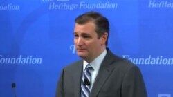 Тед Круз: один в Вашингтоне воин