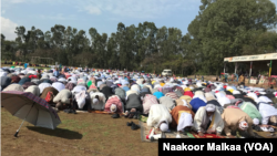 Faayilii - Ayyaana Eid Al Fatr, Amboo