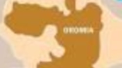 Walitti bu'iinsa Raayyaa Ittisa Biyyaa fi WBO dhiyeennaa irratti namii miidhameera