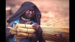 摄影展：难民的“破碎生活”