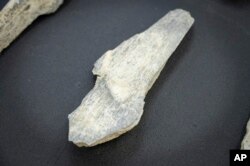 دیمەنی یەکێک لە کەرەستە ئێسکییە دۆزراوەکان.