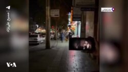 حمایت زنان بندرعباس از پرستو احمدی با پخش تصنیف «از خون جوانان وطن لاله دمیده»