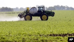 爱奥华农民在大豆地里喷除草剂(资料照片)
