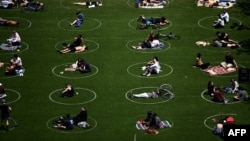 2020年5月17日纽约市布鲁克林区多米诺公园用白色圆圈保持社交距离。