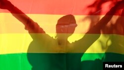 资料照：同性恋团体支持者举着LGBT旗帜参加权益活动。