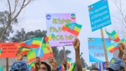 የአዲስ አበባ ሰልፍ