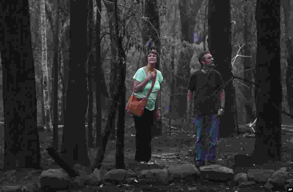 &quot;Будинок преси&quot; у Грозному. Звідси вибивали бойовиків.