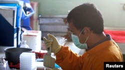 Petugas kesehatan memeriksa sampel darah (foto: ilustrasi). Italia mengumumkan 3 kasus penyakit mirip SARS yang menimpa warganya. 