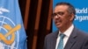 Darektan WHO, Tedros Adhanom Ghebreyesus.