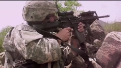 War Veterans Fight A Different War in Civilian Society