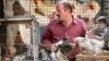 FILE - An Iranian man handles chickens for sale in south Tehran October 18, 2005.