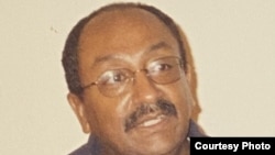 ፕሮፌሰር ብሩክ ኃይሉ - በግሪንስቦሮ የሰሜን ካሮላይና ኤ ኤንድ ቲ ዩኒቨርሲቲ የፖለቲካ ሳይንስና ዓለምአቀፍ ግንኙነቶች መምህር