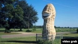 吉米·卡特有个外号叫“花生农场主”