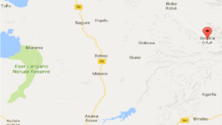 Abbaa : Ijoollee Koo Sadan Manaa Gad Baasanii Ajjeesan