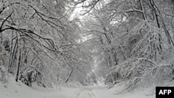 冰雪覆盖的首都地区公路