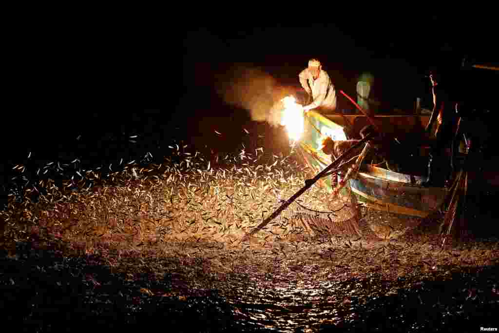 អ្នក​នេសាទ​ប្រើប្រាស់​ភ្លើង​ដើម្បី​ទាក់ទាញ​ត្រី​នៅ​ក្រុង New Taipei City កោះ​តៃវ៉ាន់។