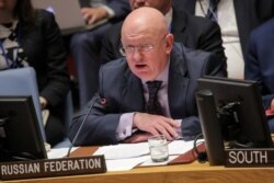 Vassily Nebenzia, Russian Ambassador to the United Nations, addresses the United Nations Security Council at U.N. headquarters in New York, April 10, 2019.