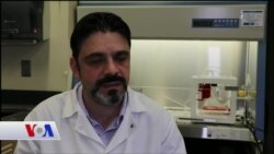 Türk Uzman Kanser İlaçlarını Test Etmek İçin Biyoyazıcıyla Tümör Üretiyor