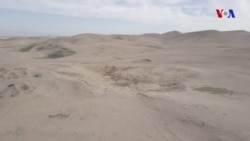 İraq İŞİD üzərində qələbənin ildönümünü qeyd edir