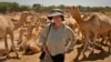 Mary F. Calvert with a camel herd in Ethiopia, where she was documenting drought conditions, Feb. 16, 2006. (Photo by Betsy Pisik/The Washington Times)