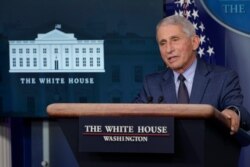 آنتونی فاوچی، مدیر موسسه ملی آلرژی و بیماری‌های عفونی آمریکا